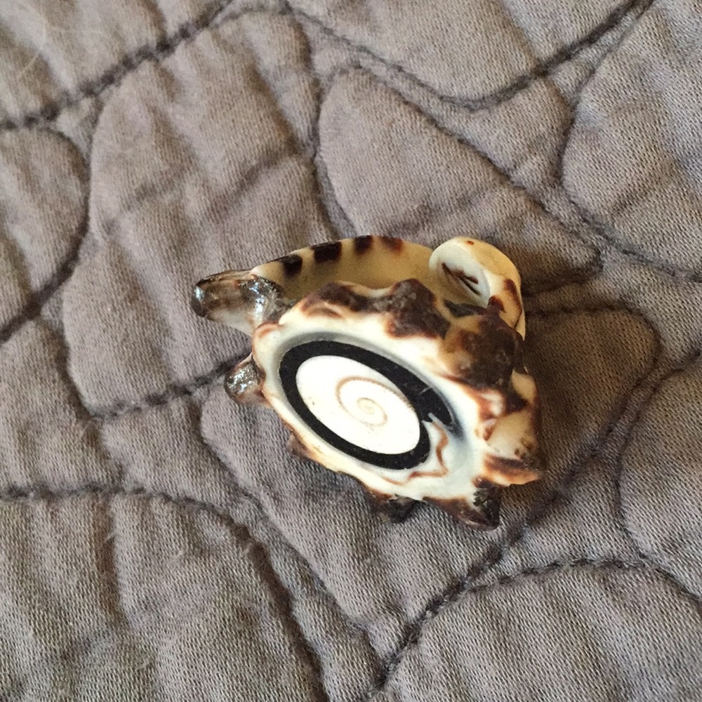 Shell Ring Handmade in Greece - Picture 4 of 5